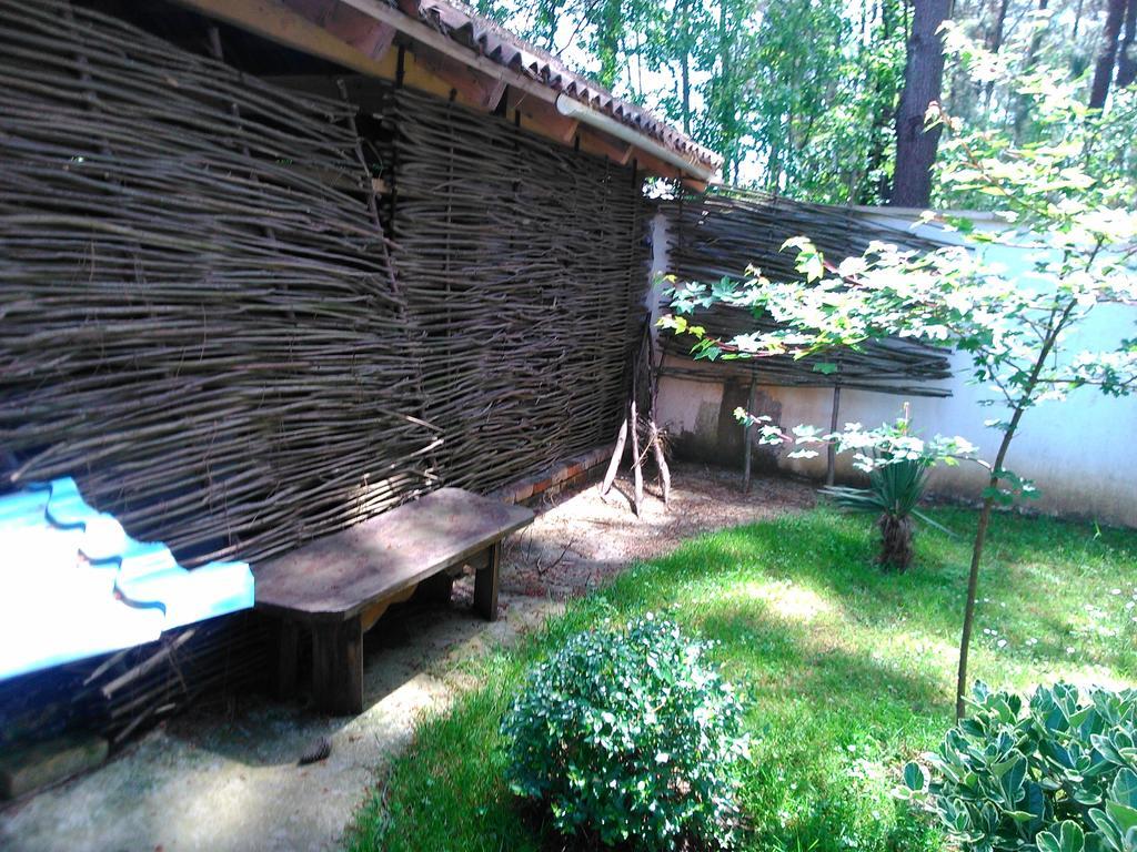 Kolkhida Resort & Spa Ureki Exteriör bild