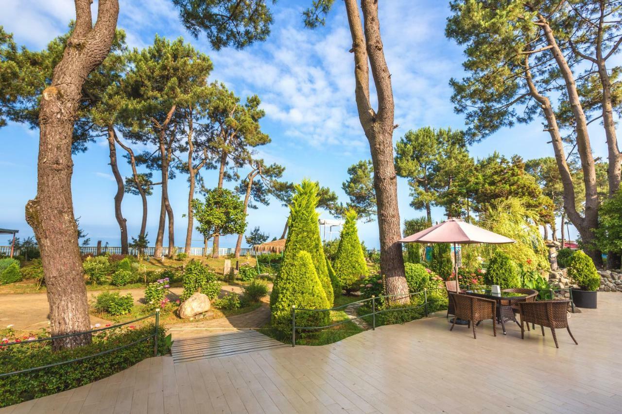 Kolkhida Resort & Spa Ureki Exteriör bild